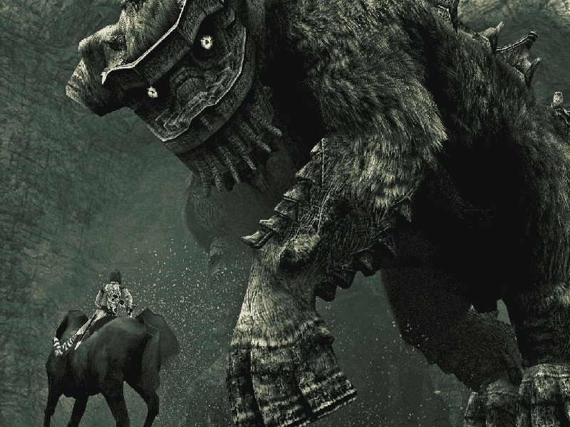 大龄试管宝宝文案(试管26个卵泡)